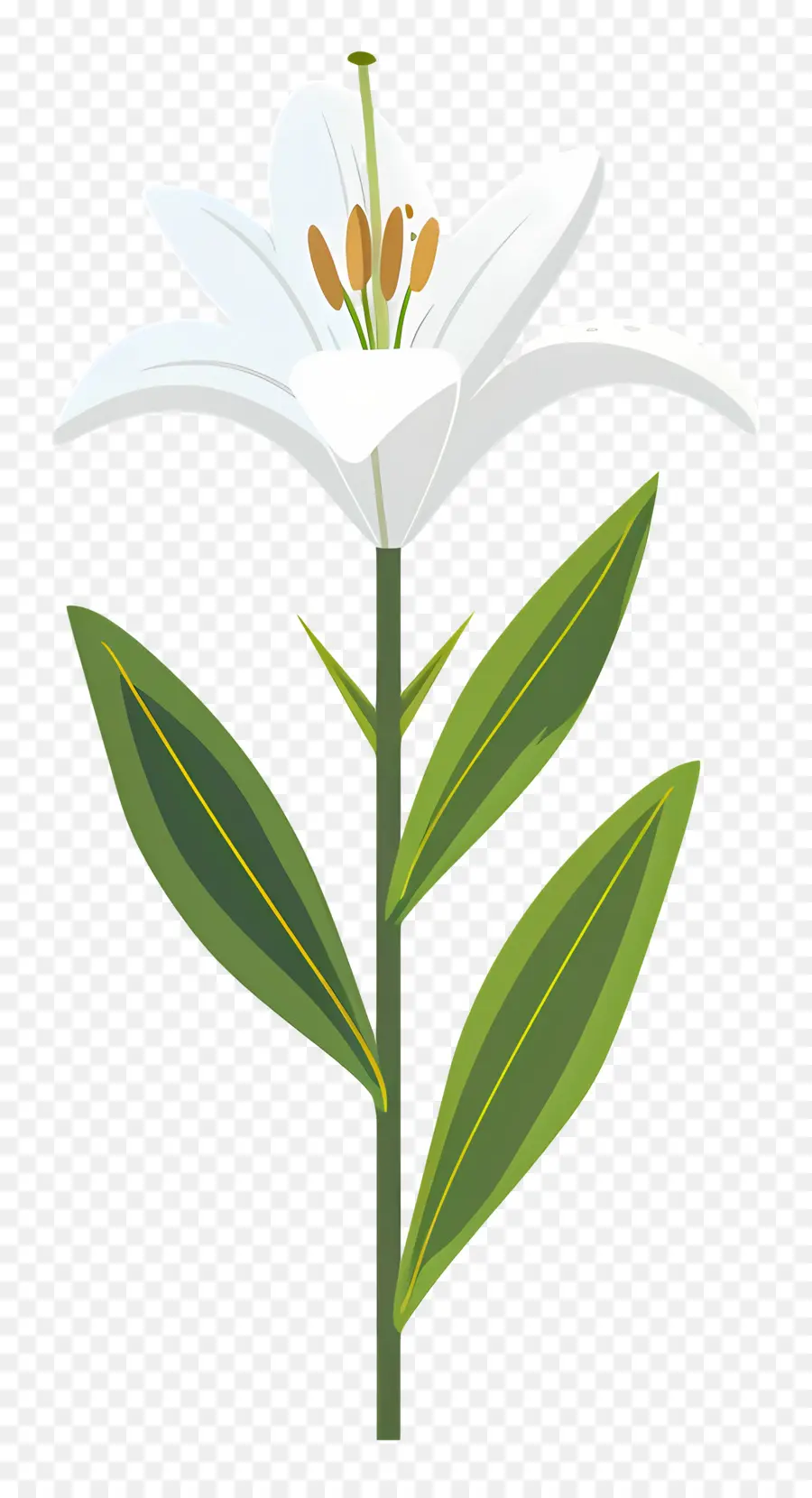 Flor única，Flor Branca PNG