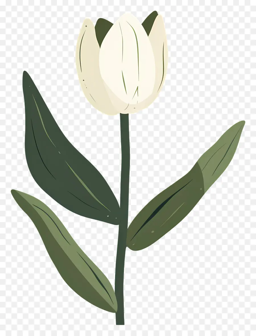 Flor única，Flor Branca PNG