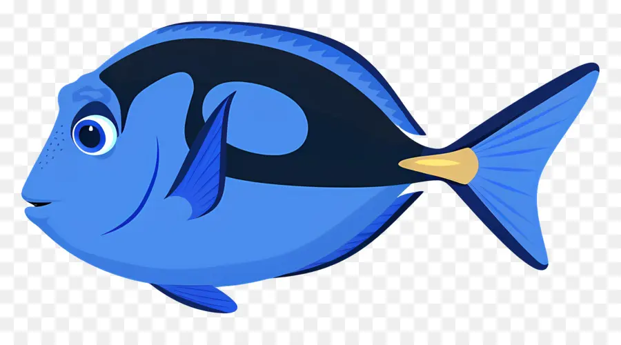 Peixe Azul，Peixe Colorido PNG