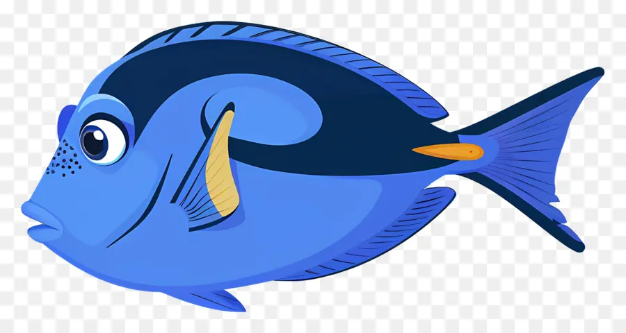 Peixe Azul，Peixe Colorido PNG