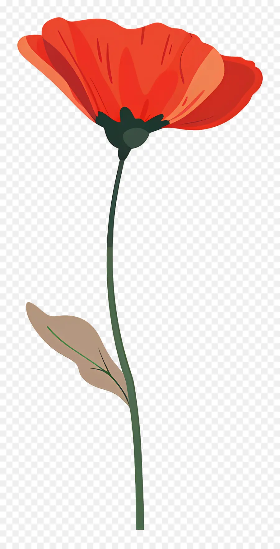 Flor única，Flor De Papoula Vermelha PNG