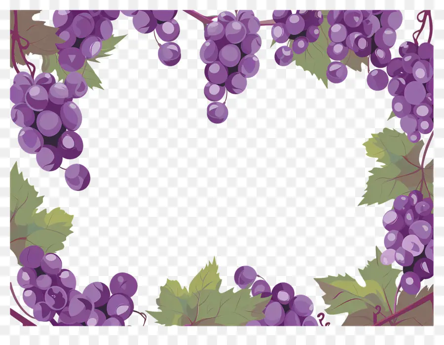 Borda De Uva，Quadro De Uvas PNG