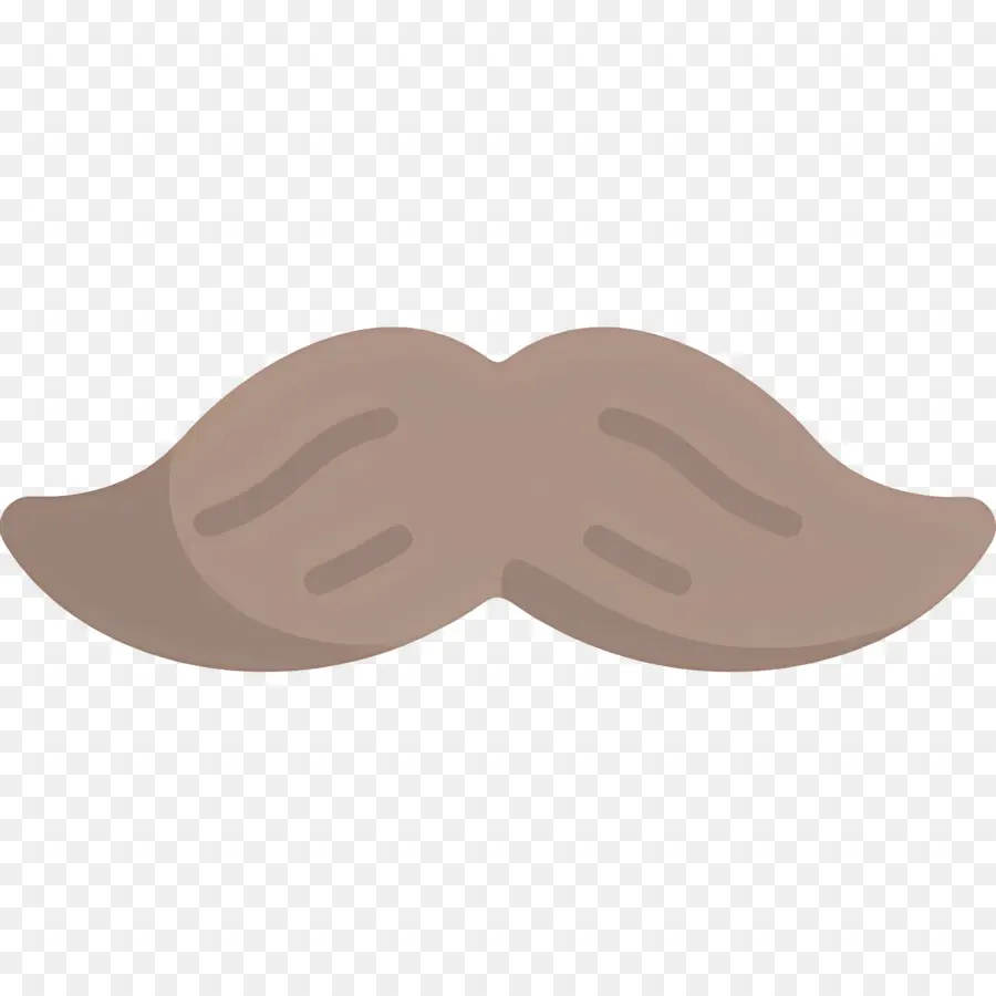 Bigode，Pêlos Faciais PNG