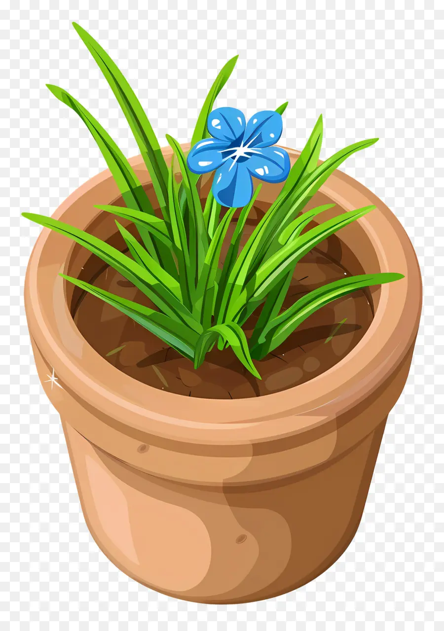 Vista Superior Das Plantas，Vaso De Planta Com Flor Azul PNG