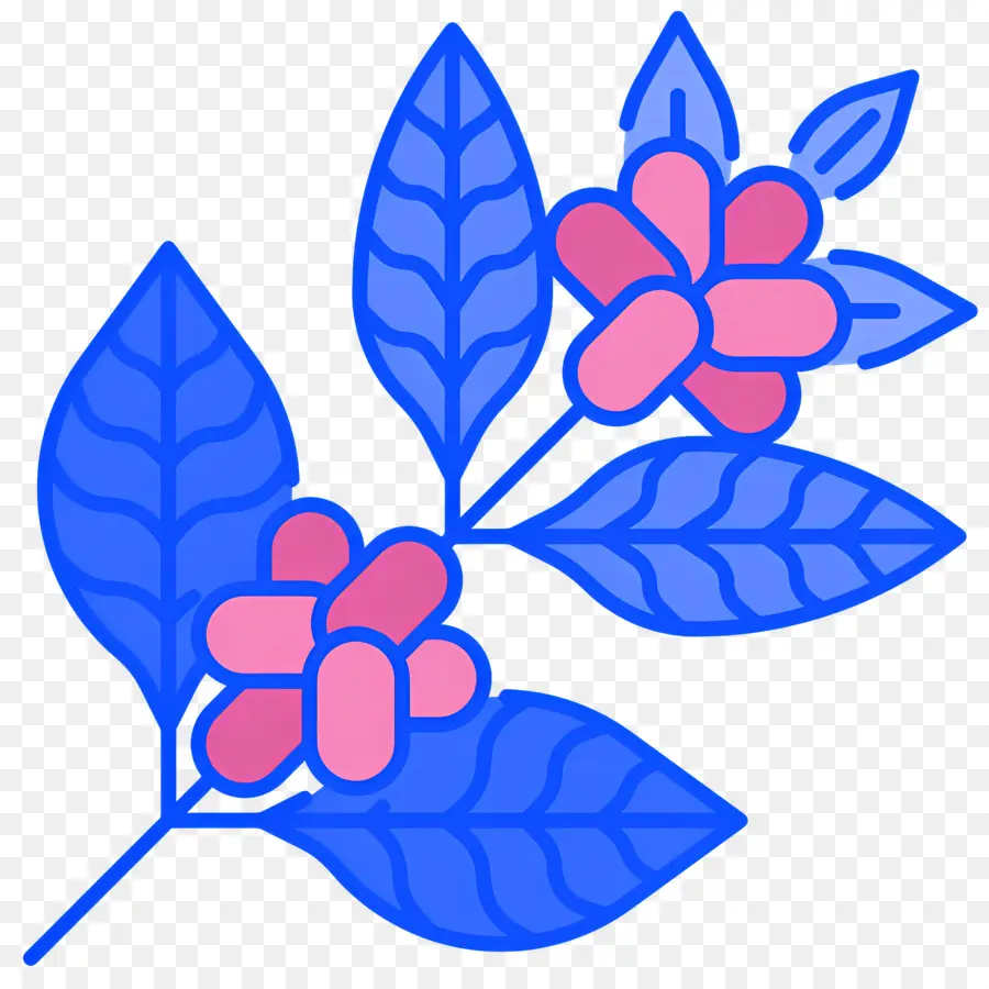 Planta De Café，Azul PNG