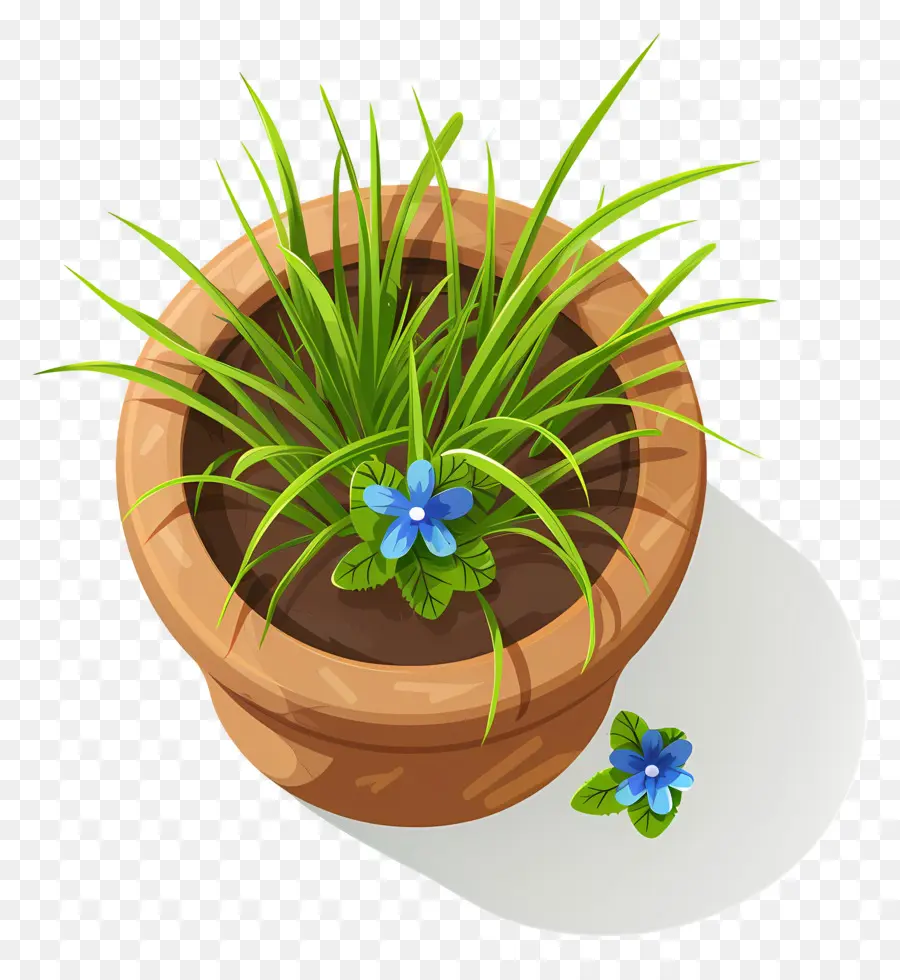 Vista Superior Das Plantas，Vaso De Planta Com Flor Azul PNG