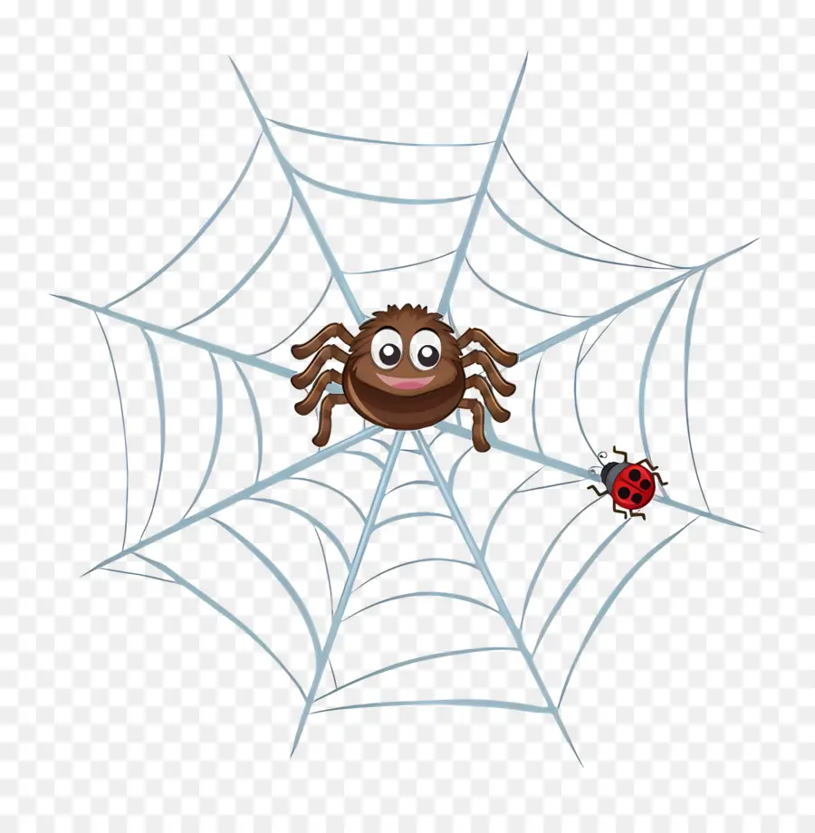 Teia De Aranha Do Dia Das Bruxas，Aranha PNG