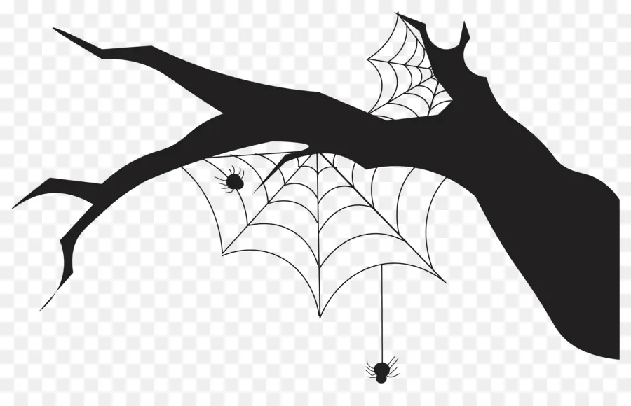 Teia De Aranha Do Dia Das Bruxas，Teia De Aranha PNG