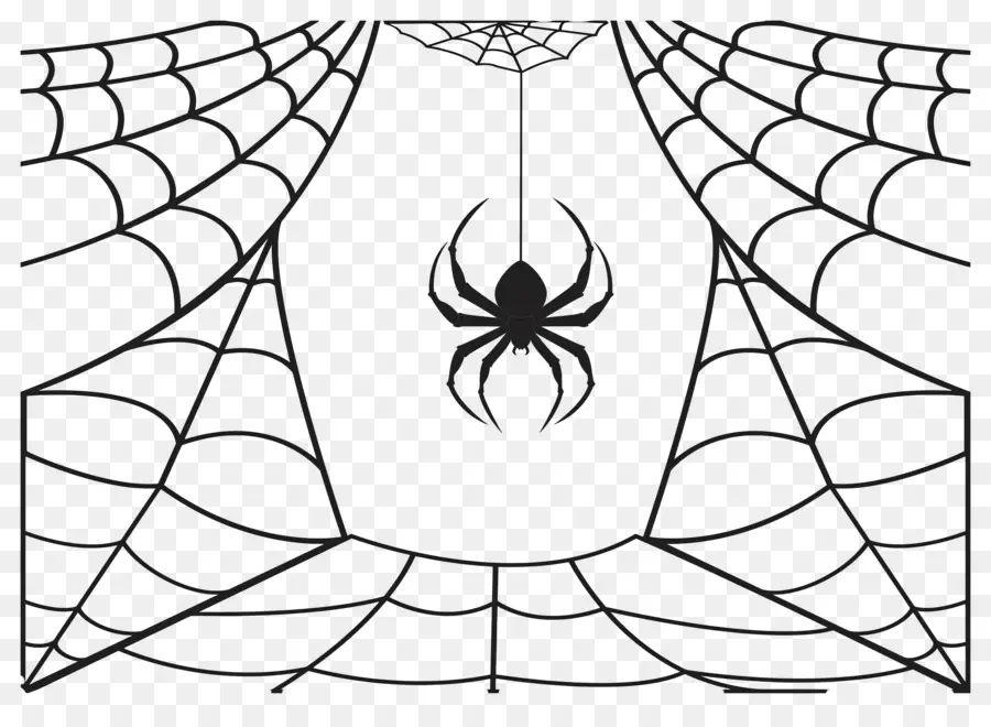 Teia De Aranha Do Dia Das Bruxas，Aranha Na Web PNG