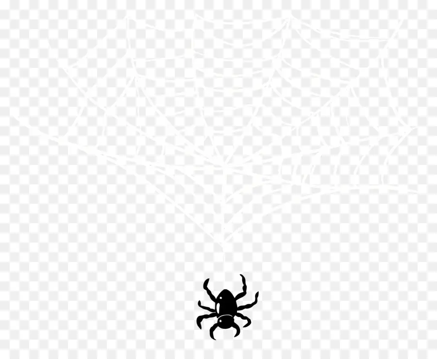 Teia De Aranha Do Dia Das Bruxas，Aranha E Teia PNG