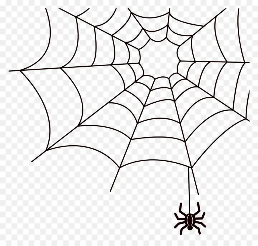 Teia De Aranha Do Dia Das Bruxas，Teia De Aranha PNG