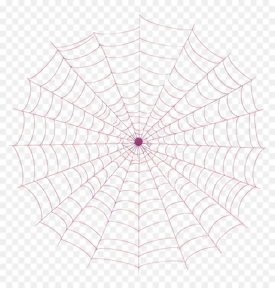 Teia De Aranha，Aranha PNG