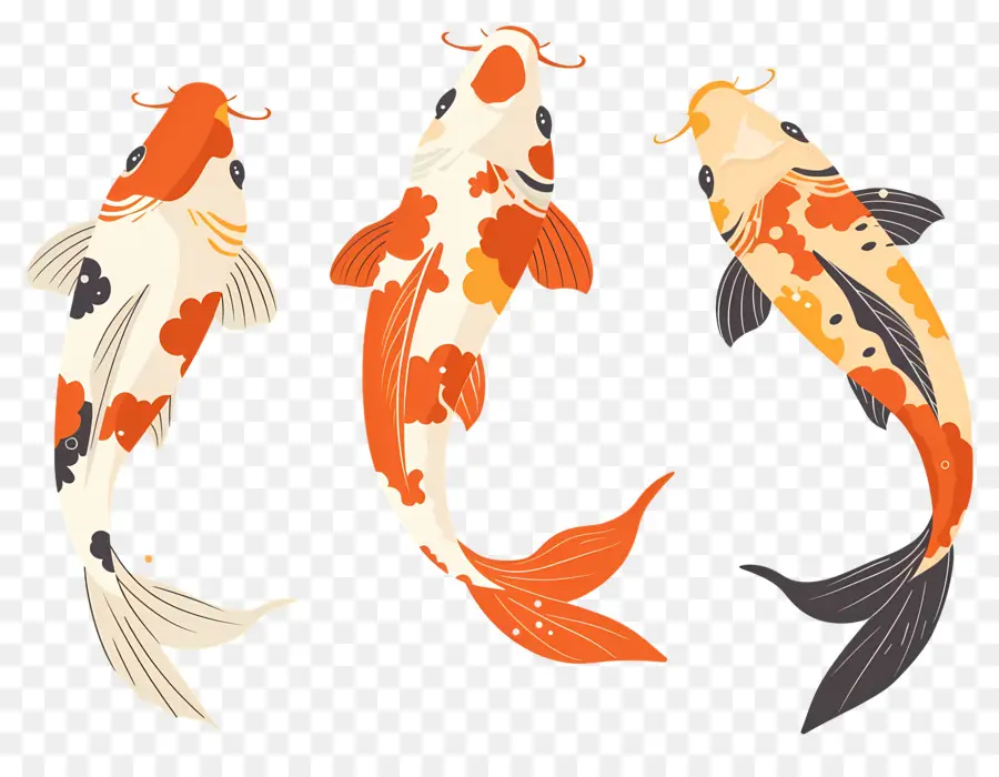 Peixe Koi，Três Peixes Koi Detalhados PNG