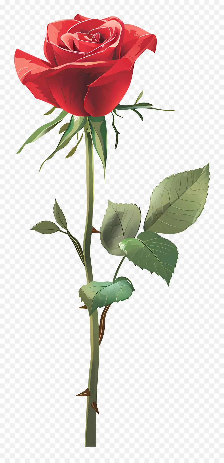 Rosa Vermelha，Tronco PNG