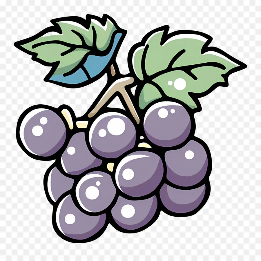 Uvas，Videira PNG