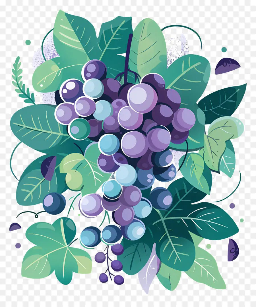 Uvas，Uvas Artísticas PNG