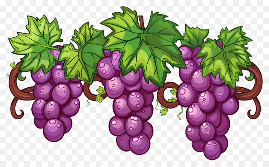 Uvas，Uvas Roxas PNG