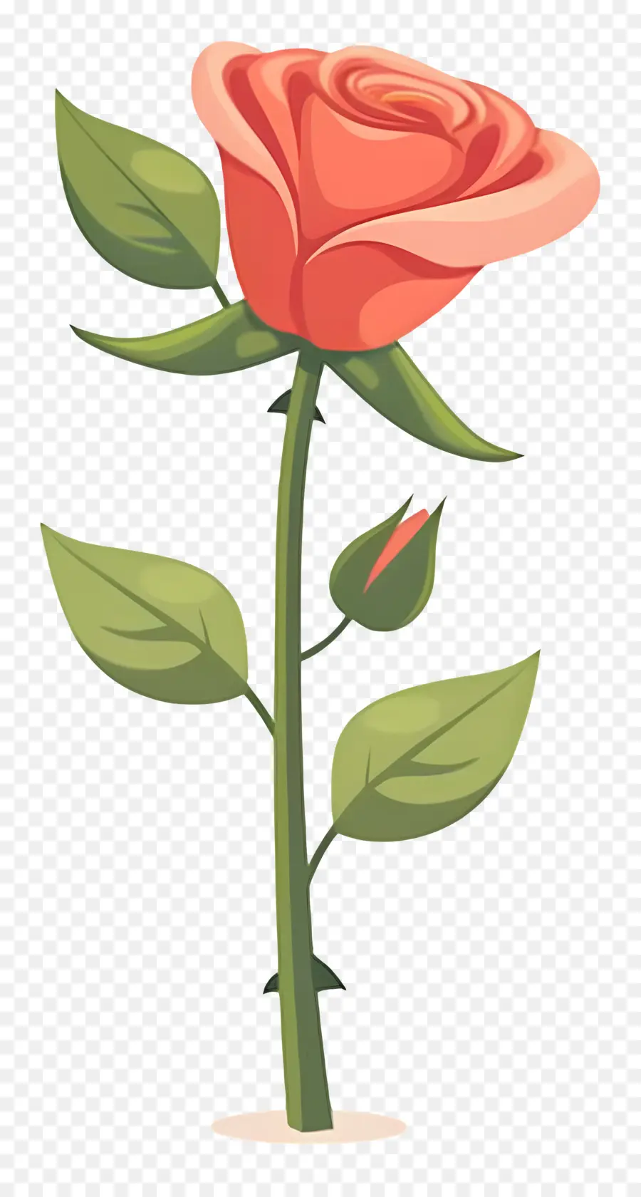 Rosa Vermelha，Tronco PNG