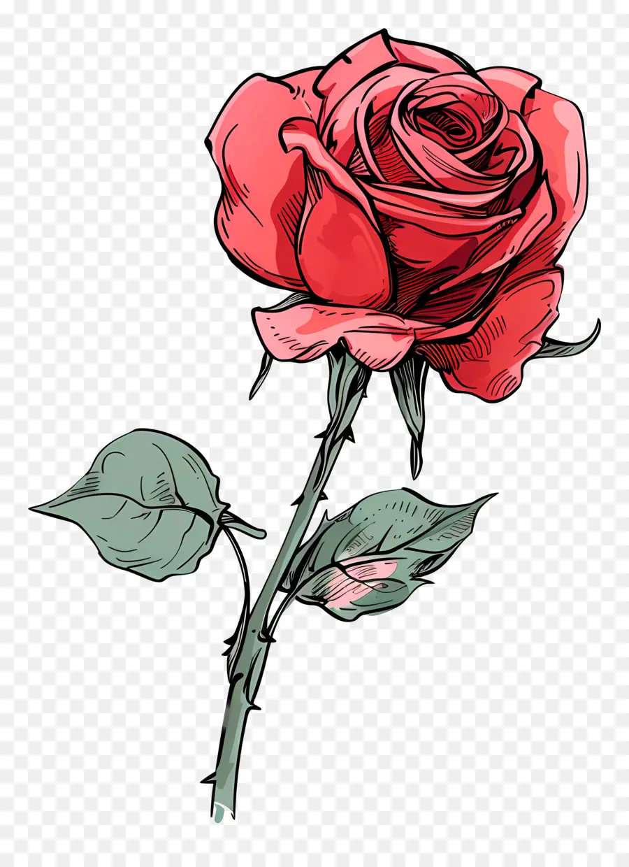 Rosa Vermelha，Tronco PNG