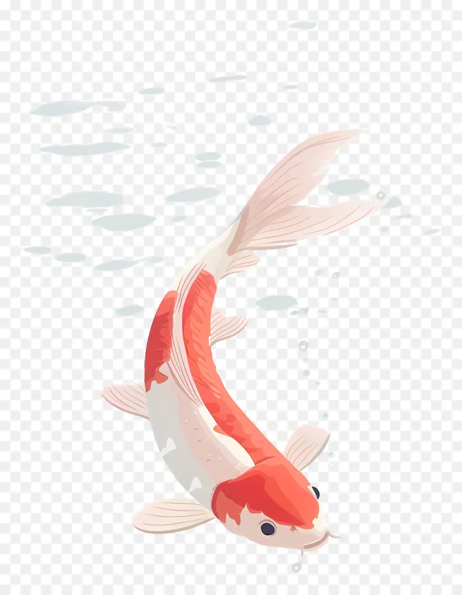 Peixe Koi，Peixe Koi Laranja E Preto PNG