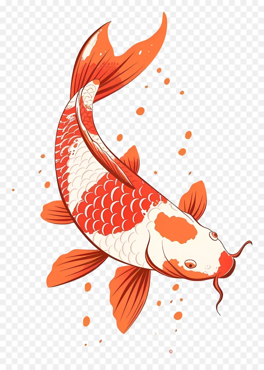 Peixe Koi，Dois Peixes Koi Com água PNG