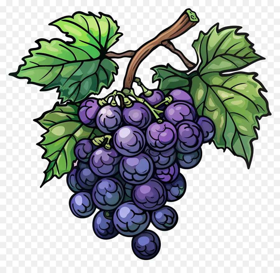 Uvas，Uvas Roxas PNG