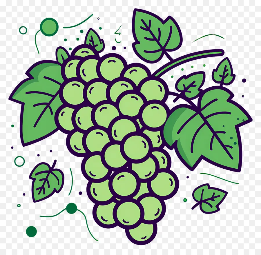 Uvas，Uvas Verdes PNG