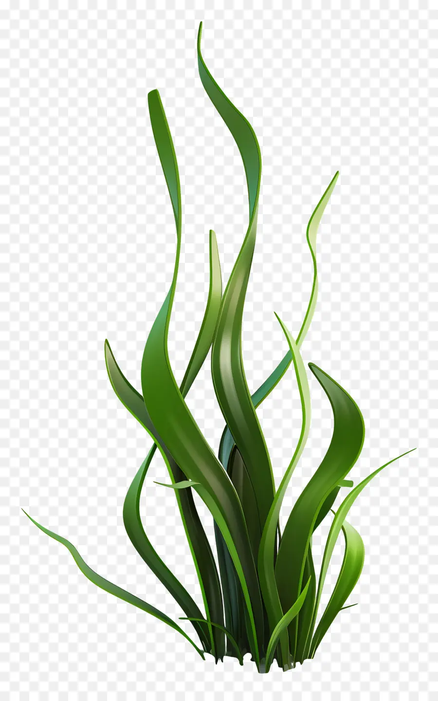 Planta De Grama，Grama Estilizada PNG