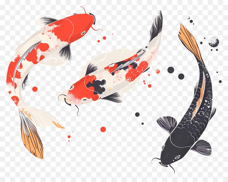 Peixe Koi，Peixe Koi Vermelho E Preto PNG