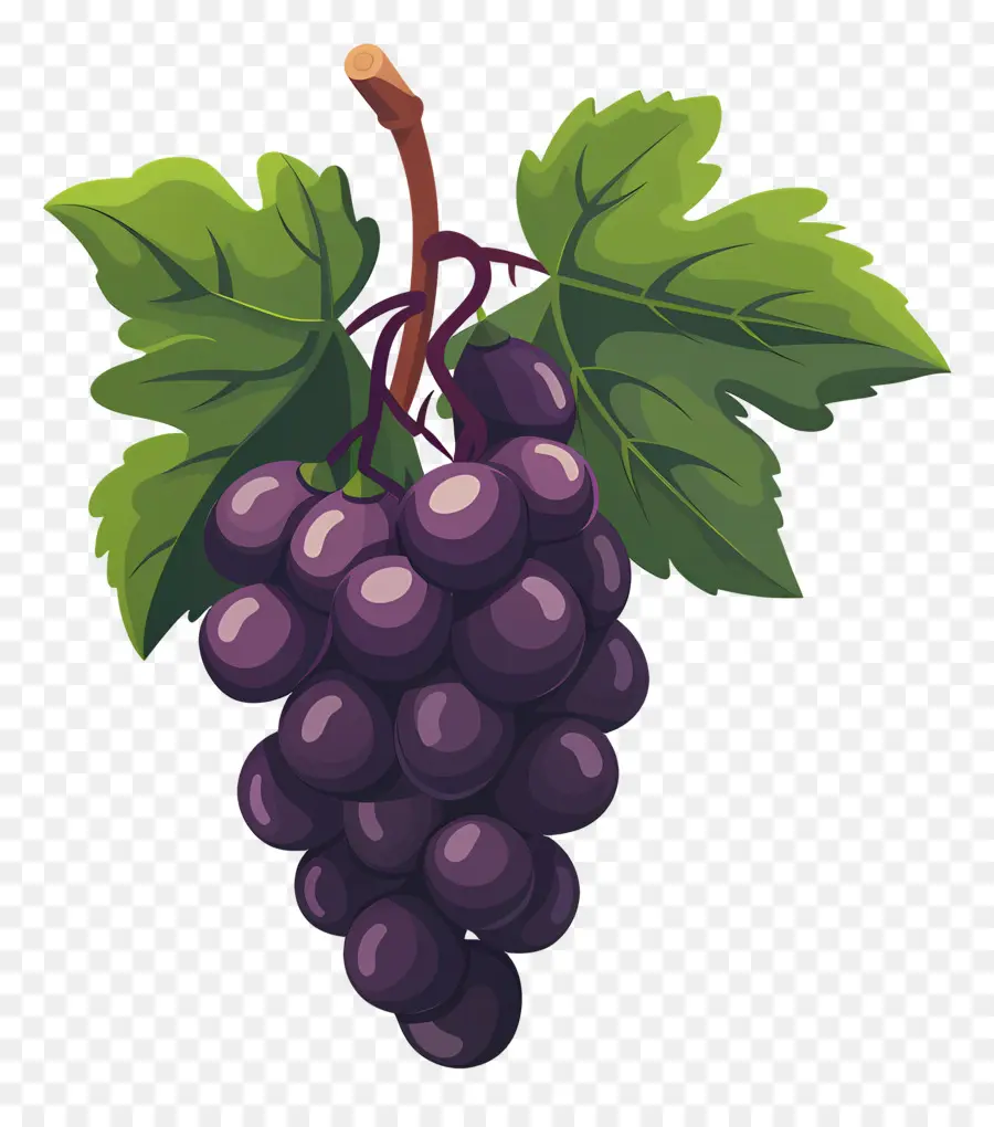 Uvas，Uvas De Desenho Animado PNG