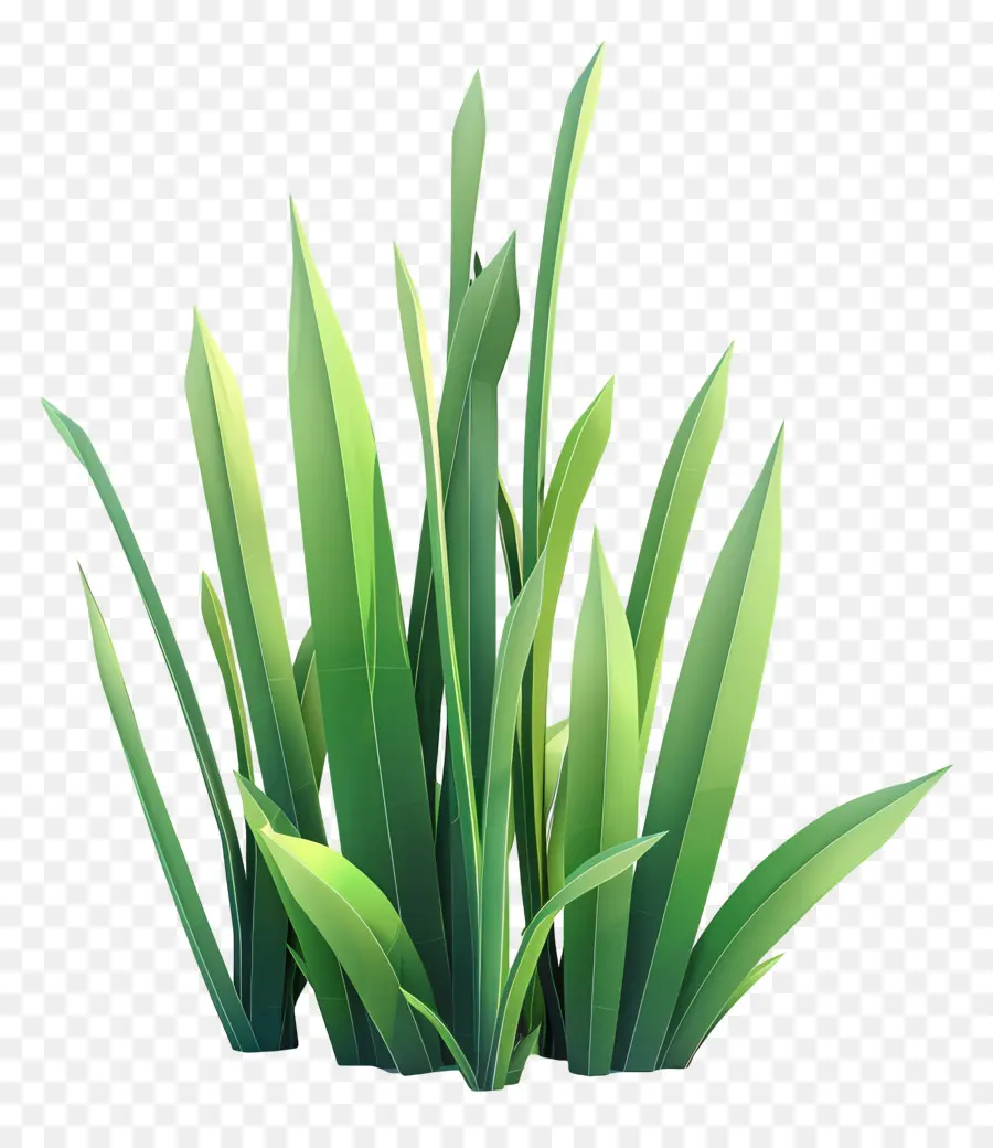 Planta De Grama，Grama Verde Brilhante PNG