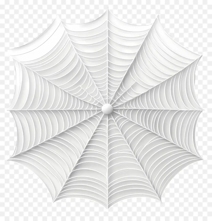 Teia De Aranha，Teia De Aranha Branca PNG