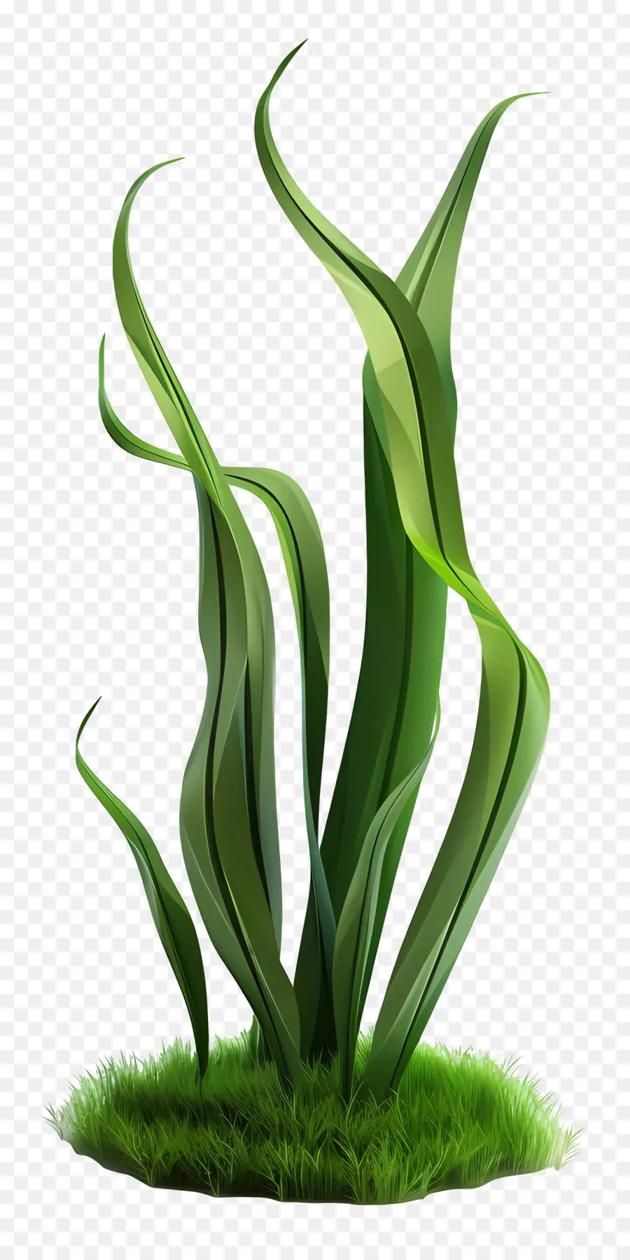 Planta De Grama，Grama Estilizada PNG