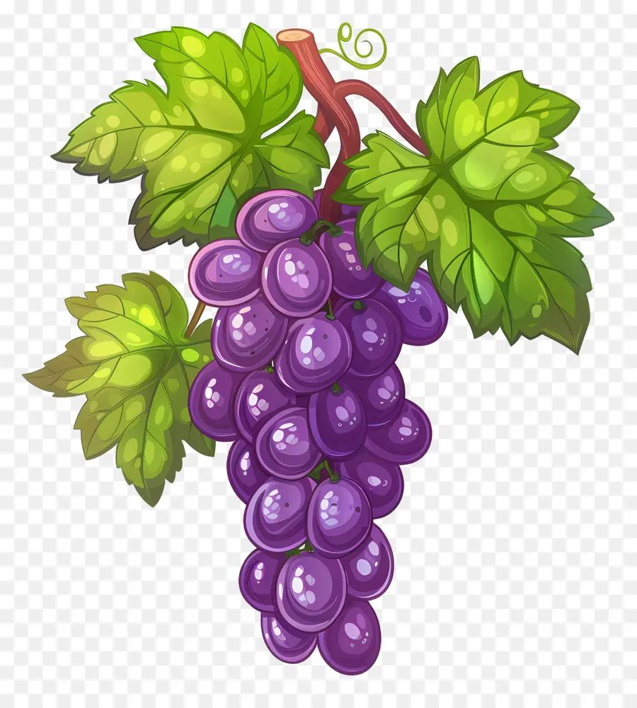 Uvas，Uvas Roxas PNG