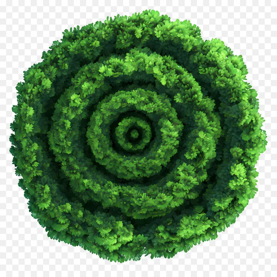 Plano De árvore，Espiral Verde PNG