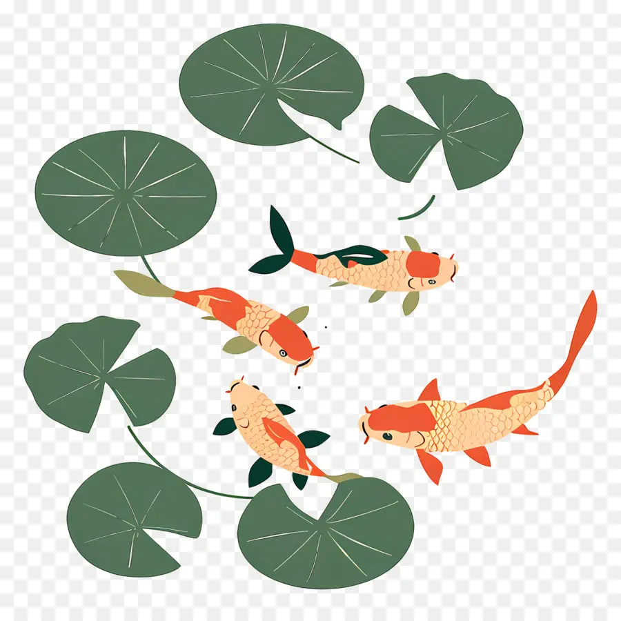 Peixe Koi，Quatro Peixes Koi Com Lírios PNG