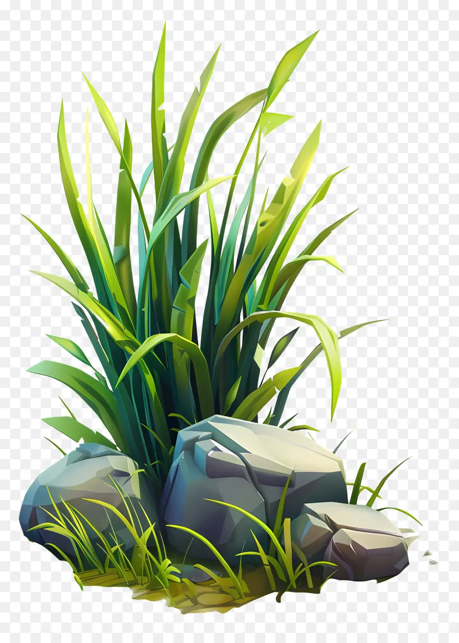 Planta De Grama，Grama E Pedras PNG