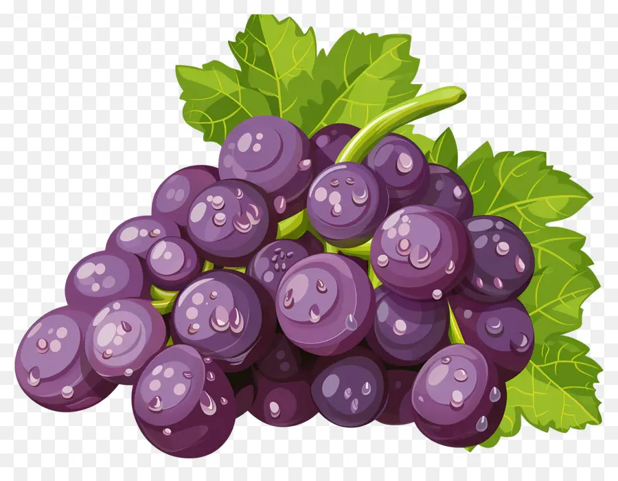 Uvas，Uvas Roxas PNG