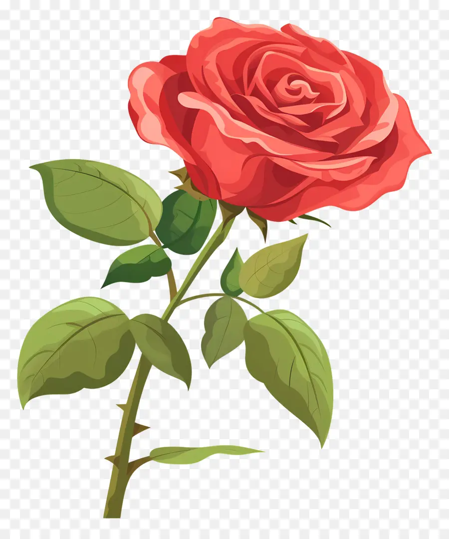 Rosa Vermelha，Romance PNG