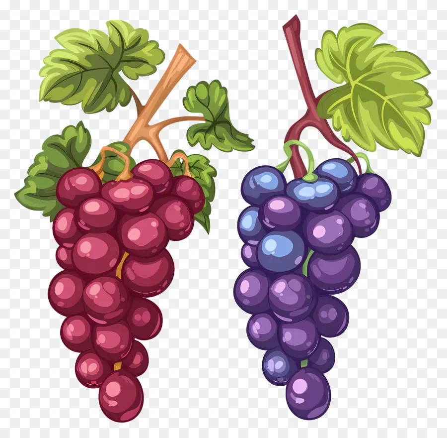 Uvas，Uvas Roxas PNG