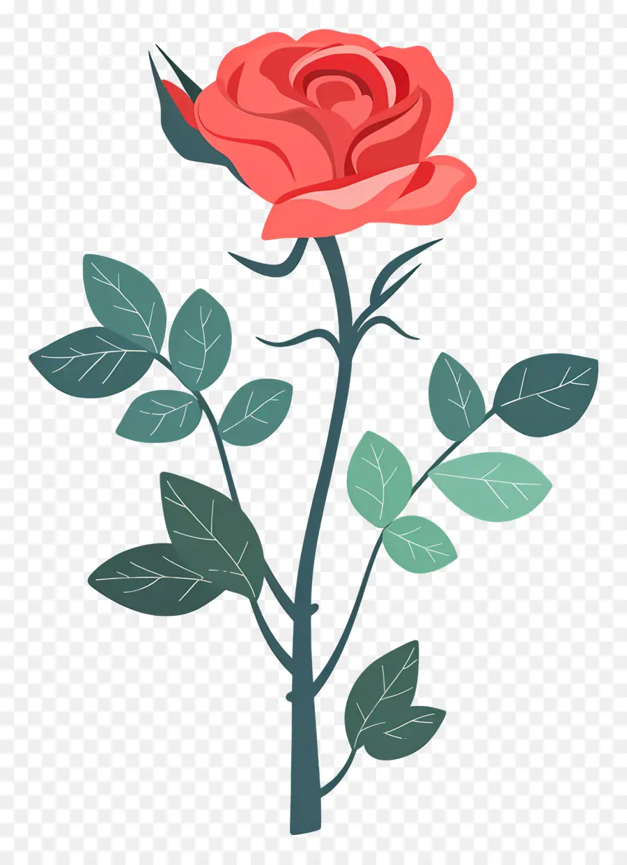 Rosa Vermelha，Romance PNG