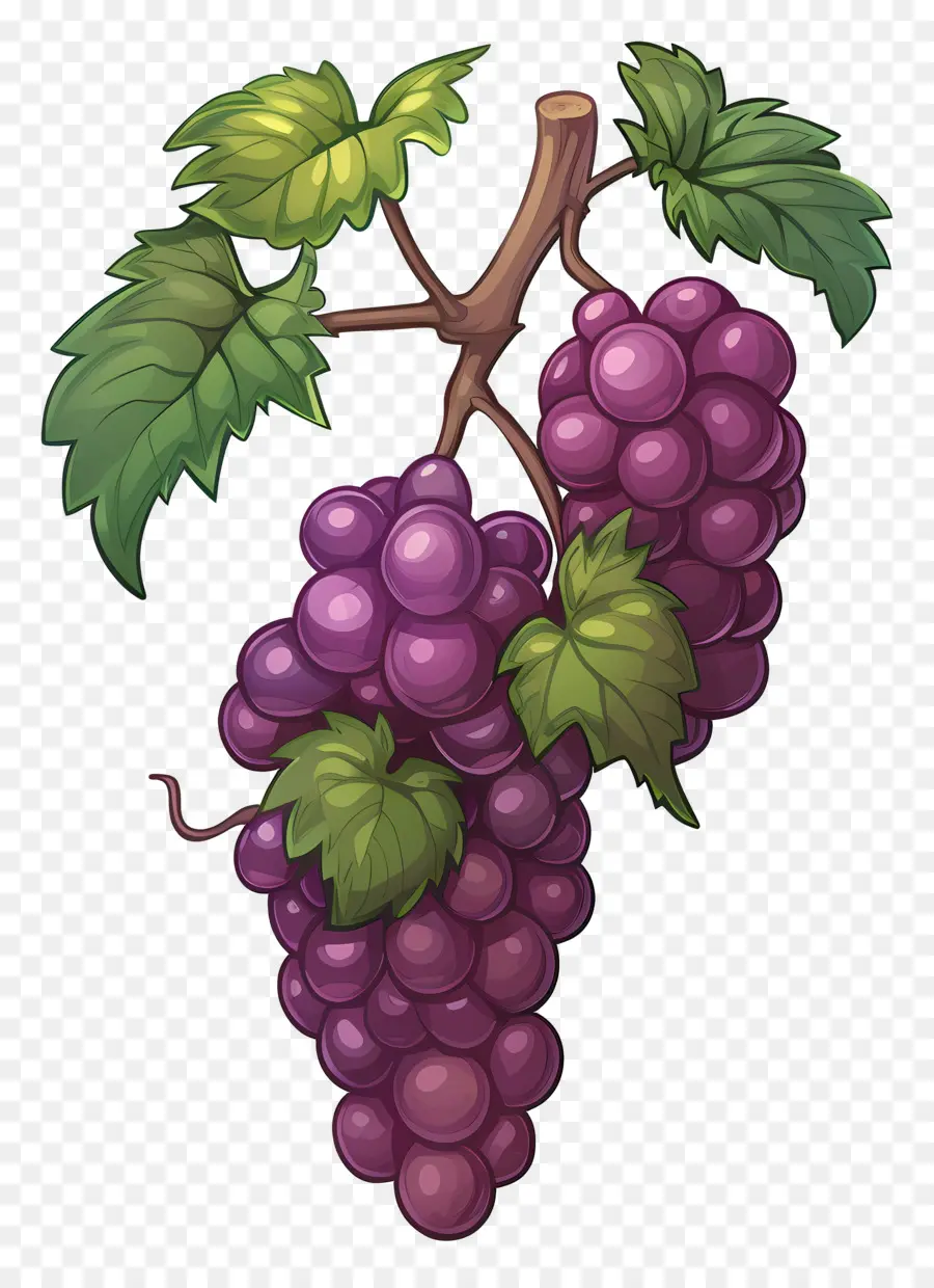 Uvas，Uvas Roxas PNG