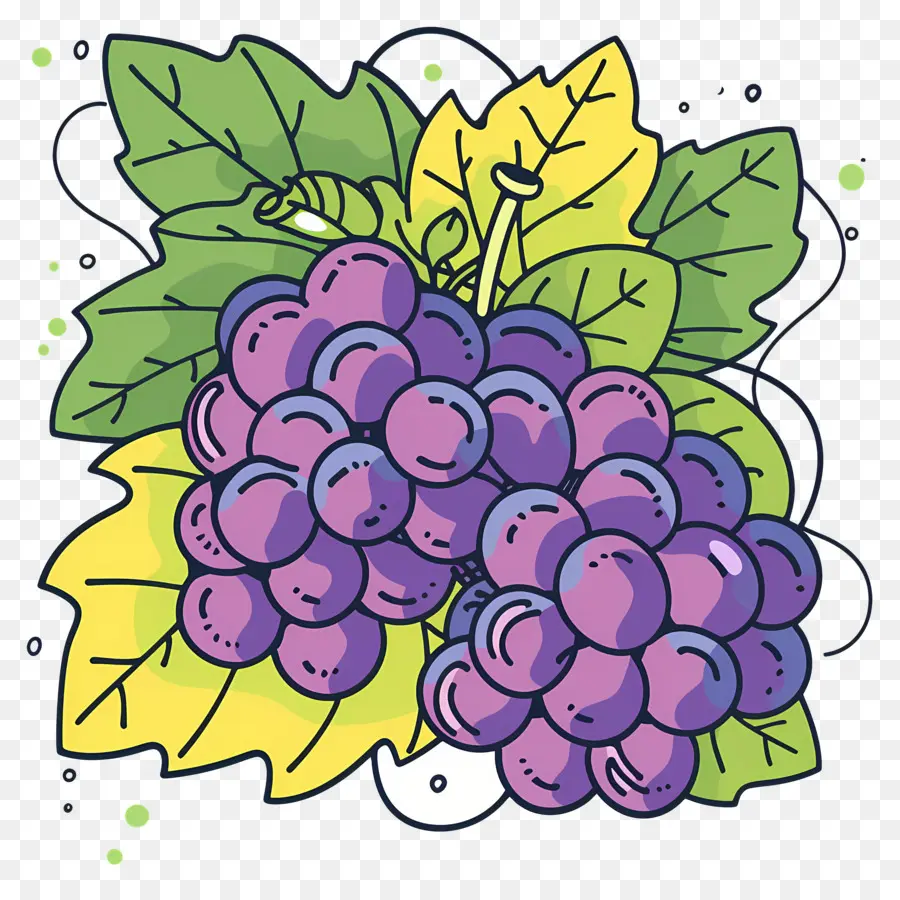 Uvas，Uvas Roxas PNG