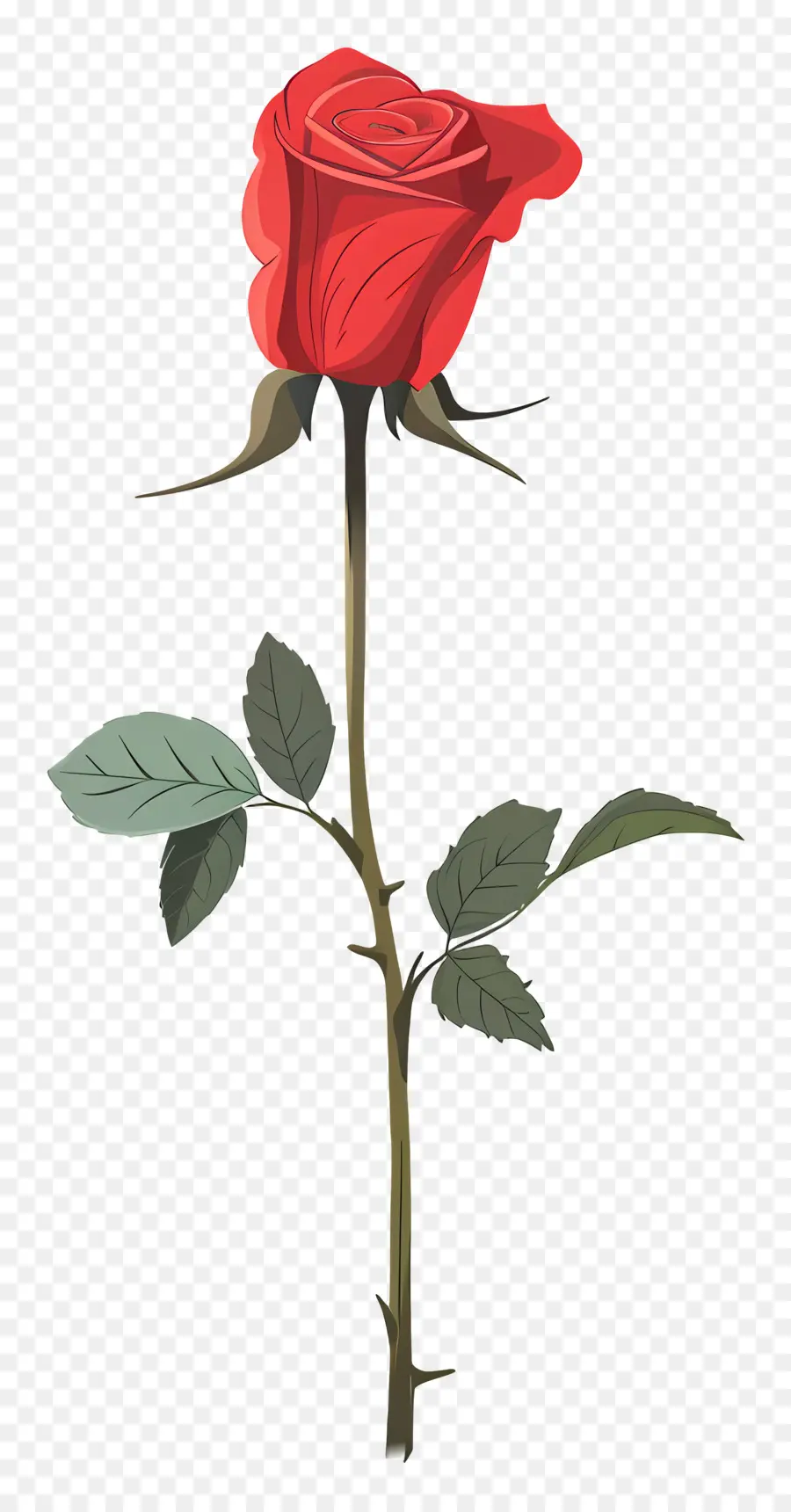 Rosa Vermelha，Tronco PNG