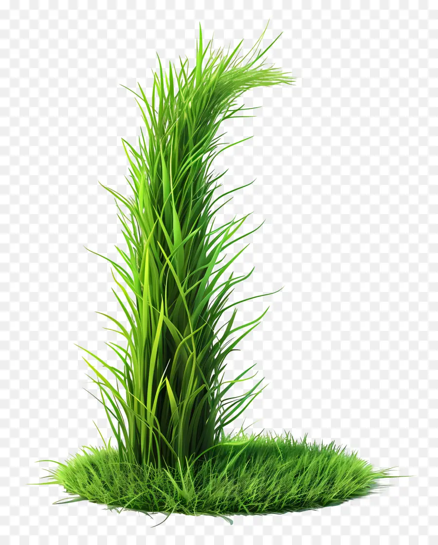 Planta De Grama，Grama Verde Brilhante PNG