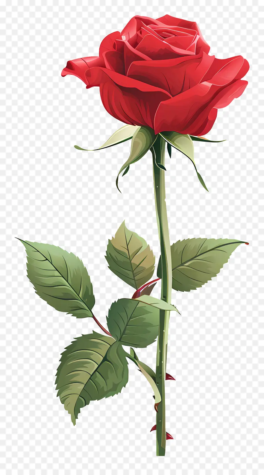 Rosa Vermelha，Tronco PNG