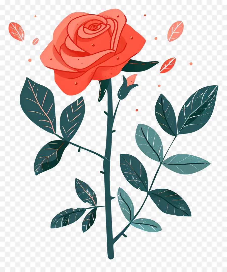 Rosa Vermelha，Romance PNG