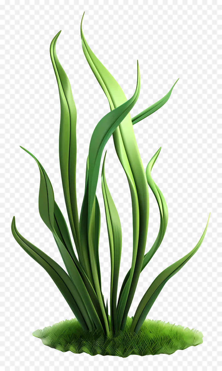 Planta De Grama，Grama Estilizada PNG