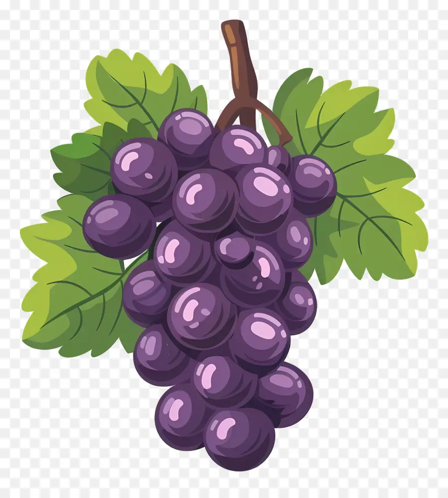 Uvas，Uvas Roxas PNG