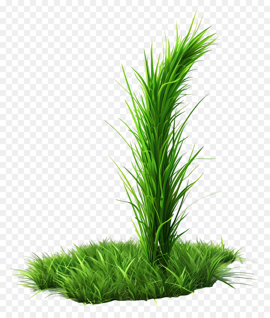 Planta De Grama，Grama Verde Brilhante PNG